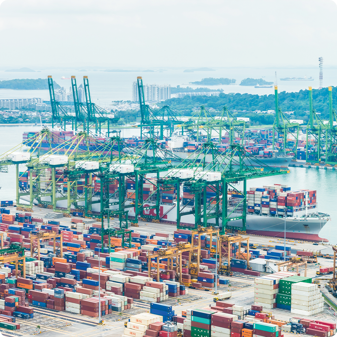 Ports, Terminals & Distribution Hubs
