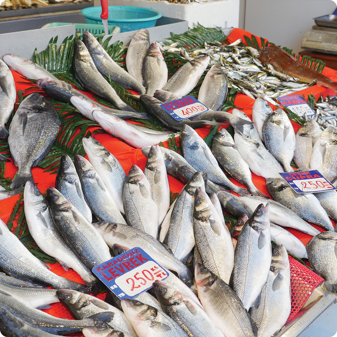 Commercial Fishing